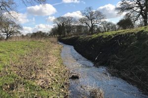 Ditching, Dyking and Wetland maintenance