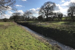 diss, norfolk and suffolk Ditching, Dyking and Wetland maintenance